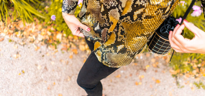 Kloster Eberbach Animal Print